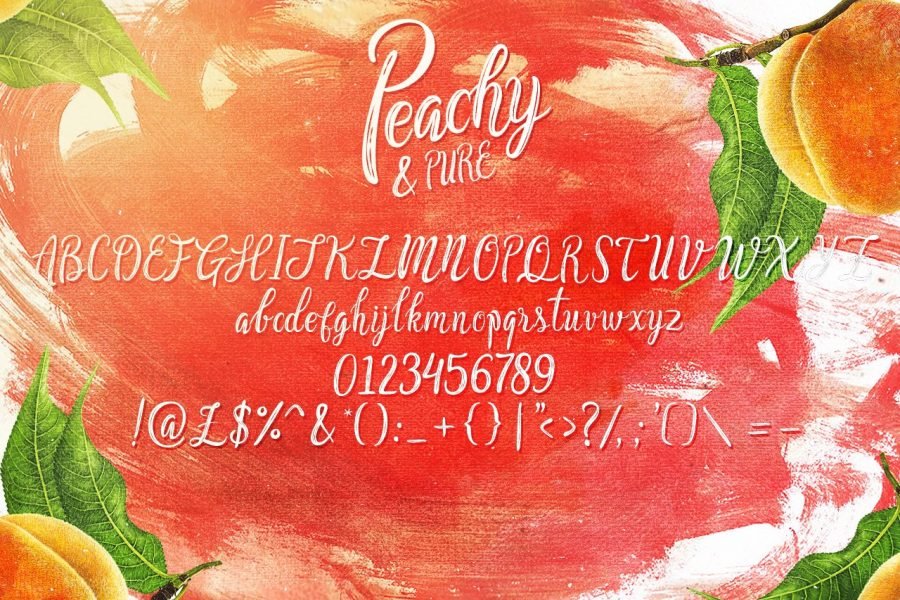 Peachy and Pure Script Typeface by Layerform Design Co